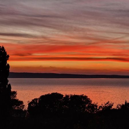Modern Seaview House Fiore Starigrad Paklenica Exterior foto