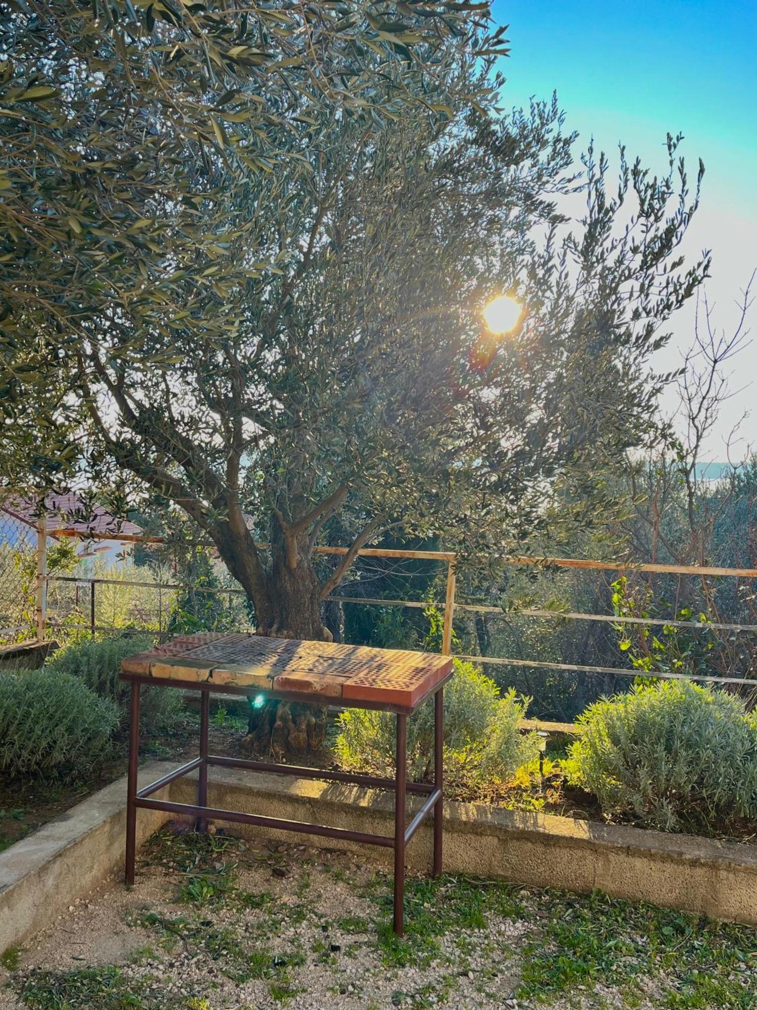 Modern Seaview House Fiore Starigrad Paklenica Exterior foto