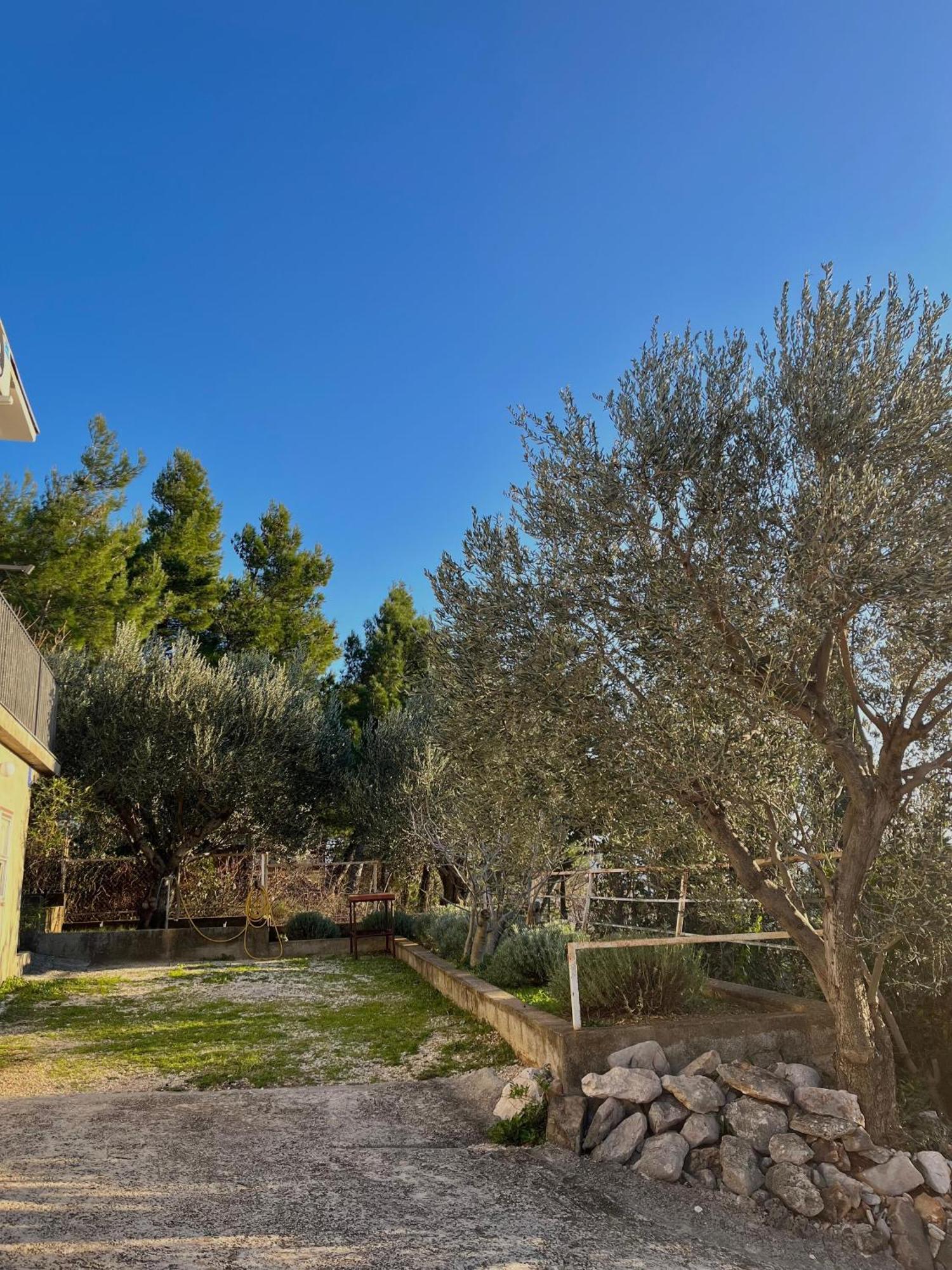 Modern Seaview House Fiore Starigrad Paklenica Exterior foto